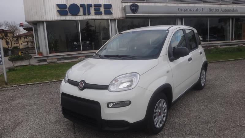 Auto usate Portogruaro